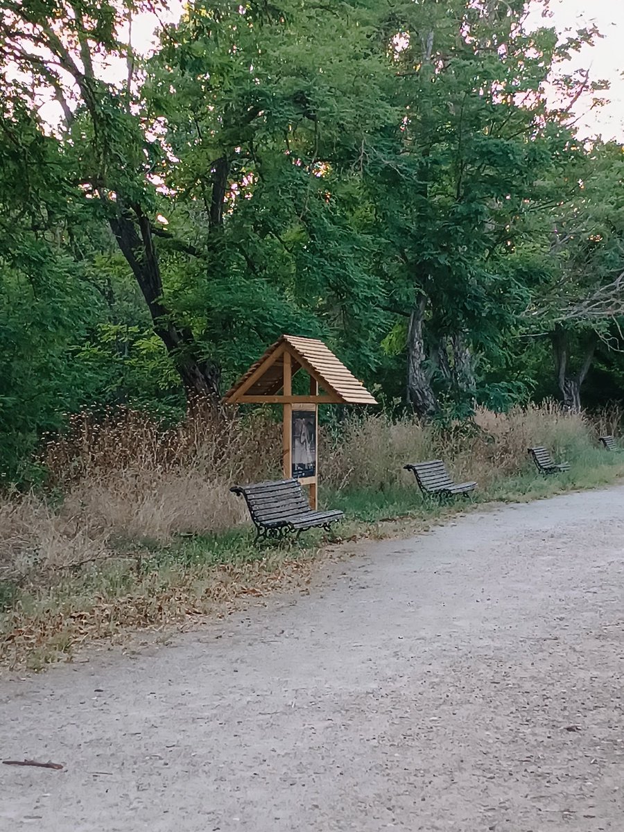 AV de El Pardo tweet media