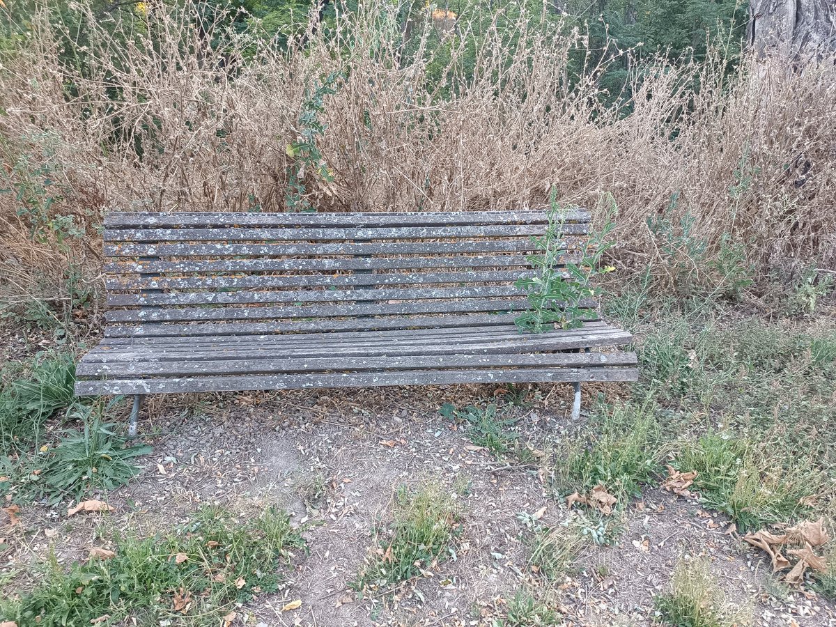 AV de El Pardo tweet media