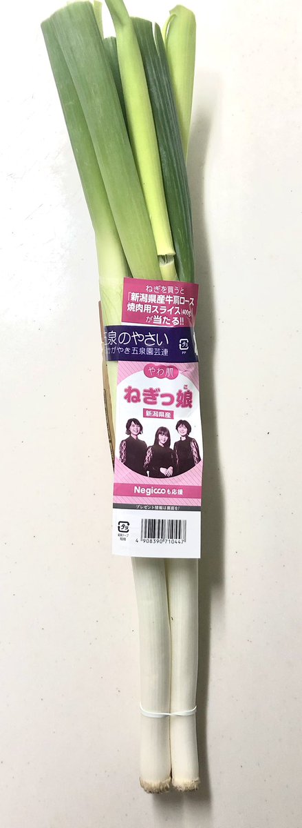 TSUTAYAkoshouji's tweet photo. 本日💿発売 #Negicco ミニAL
#PerfectSense

昨年 結成20周年で配信リリース
作品が #江口寿史 先生の書き下ろし
ジャケで💿発売
#オカモトコウキ さん
（#OKAMOTOS）#ミト さん
（#クラムボン）豪華作家陣✨
私👍は #小西康陽 さん提供の
②ネギ歴史を辿る名曲

新潟はネギの産地
#五泉市 #やわ肌ねぎ https://t.co/3g4pH09GPw