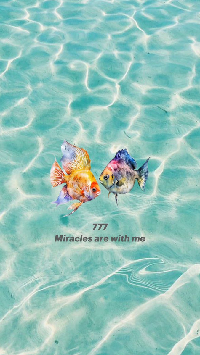 Onayla 🪄

• Bugün bir mucize yaşayacağımı biliyorum 🩵