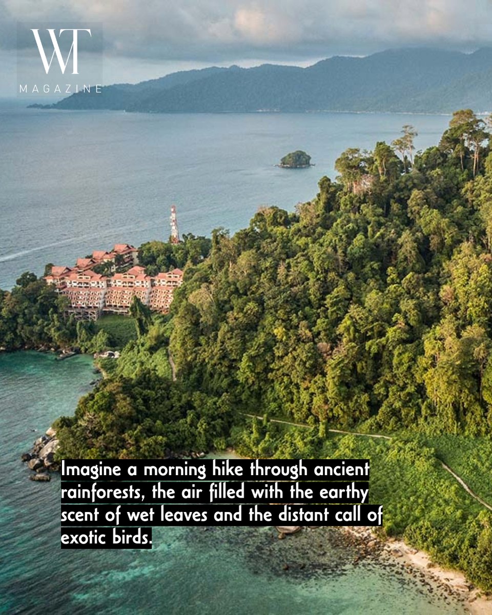 WTravelMagazine's tweet photo. Uncover the hidden gems of #Malaysia with our guide to three dreamy island getaways that only locals know about โ perfect for your next exotic escape!
READ https://t.co/xSAYEmvSF1
#Travel #LuxuryTravel #Johor #Pahang #pulaurawa #pulautioman #pulaubesar #islandlife #ecofriendly https://t.co/hgOOaAhLYh