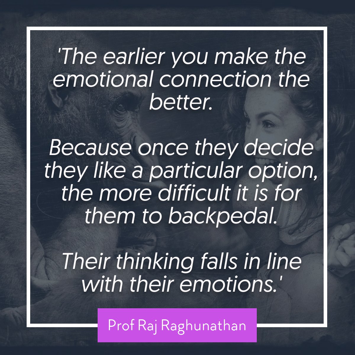 PerfectClientUK's tweet photo. #Accountants, does your website homepage connect emotionally with your ideal clients?

We create websites that resonate. Find out more https://t.co/JLfbnF3lj2 https://t.co/hNpSinWByk