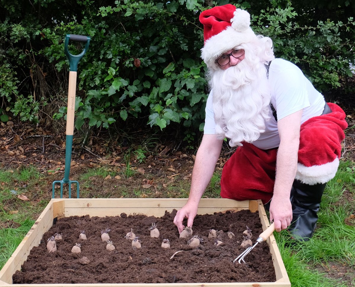 Santa’s  a real lucky spud after he made a surprise visit to Cardwell the other  day to find out how he could plant potatoes now and harvest them in time  for Christmas. 🎄🎄🎄Visit Cardwell and get your  Christmas spuds for planting now. Details here 👉 rb.gy/mb6adn