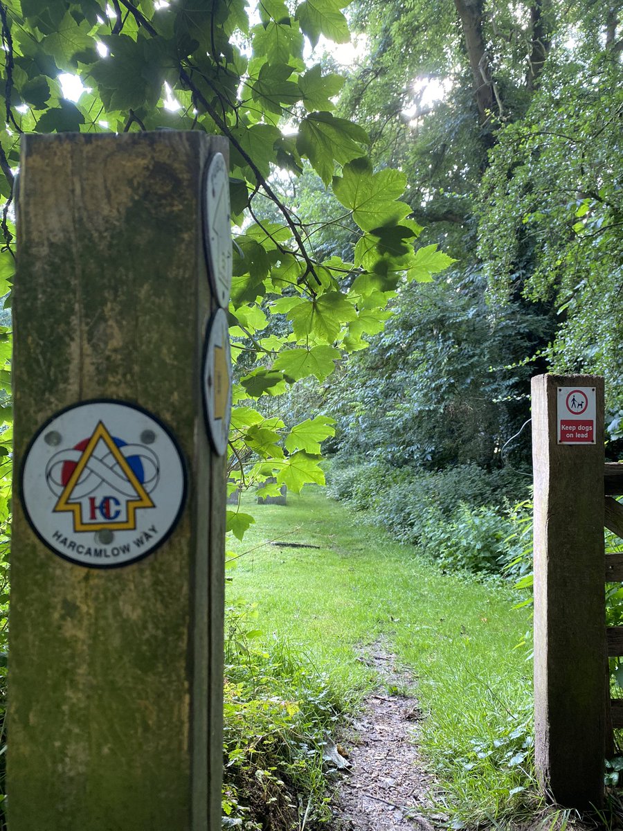 andy_goodey's tweet image. A brief stop in Manuden, Essex to count the Swifts overhead (6) #swiftmapper led to a pleasant walk round the village in a rare show of defiance by the Sun as it dared to break through the ever present clouds