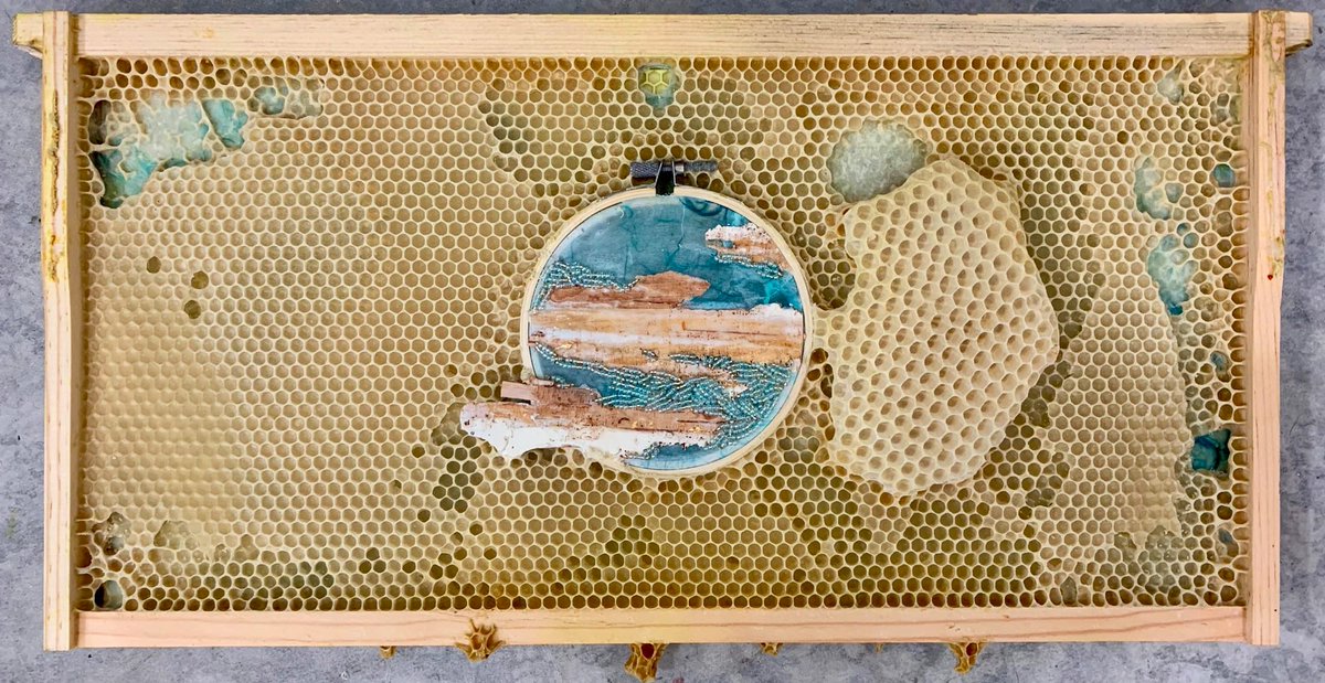 Check out the incredible work of artist Ava Roth, who collaborates with honeybees to create stunning mixed media collages!  From delicate beadwork to intricate embroidery, Roth's pieces are truly one-of-a-kind 🐝💕 #MixedMediaArt #HoneybeeCollaboration #CreativeStitching