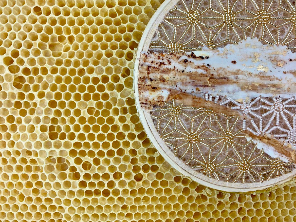 HawthorneHeaney's tweet image. Check out the incredible work of artist Ava Roth, who collaborates with honeybees to create stunning mixed media collages!  From delicate beadwork to intricate embroidery, Roth's pieces are truly one-of-a-kind 🐝💕 #MixedMediaArt #HoneybeeCollaboration #CreativeStitching