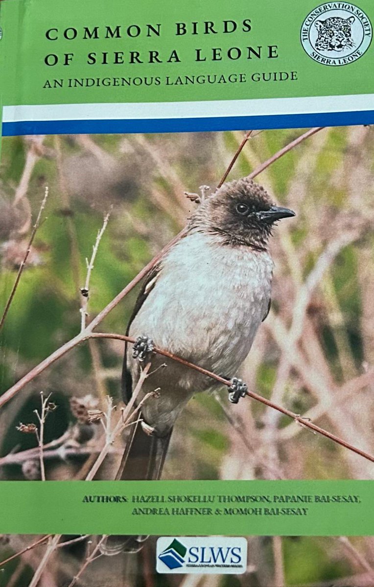 Hazell Shokellu Thompson tweet media