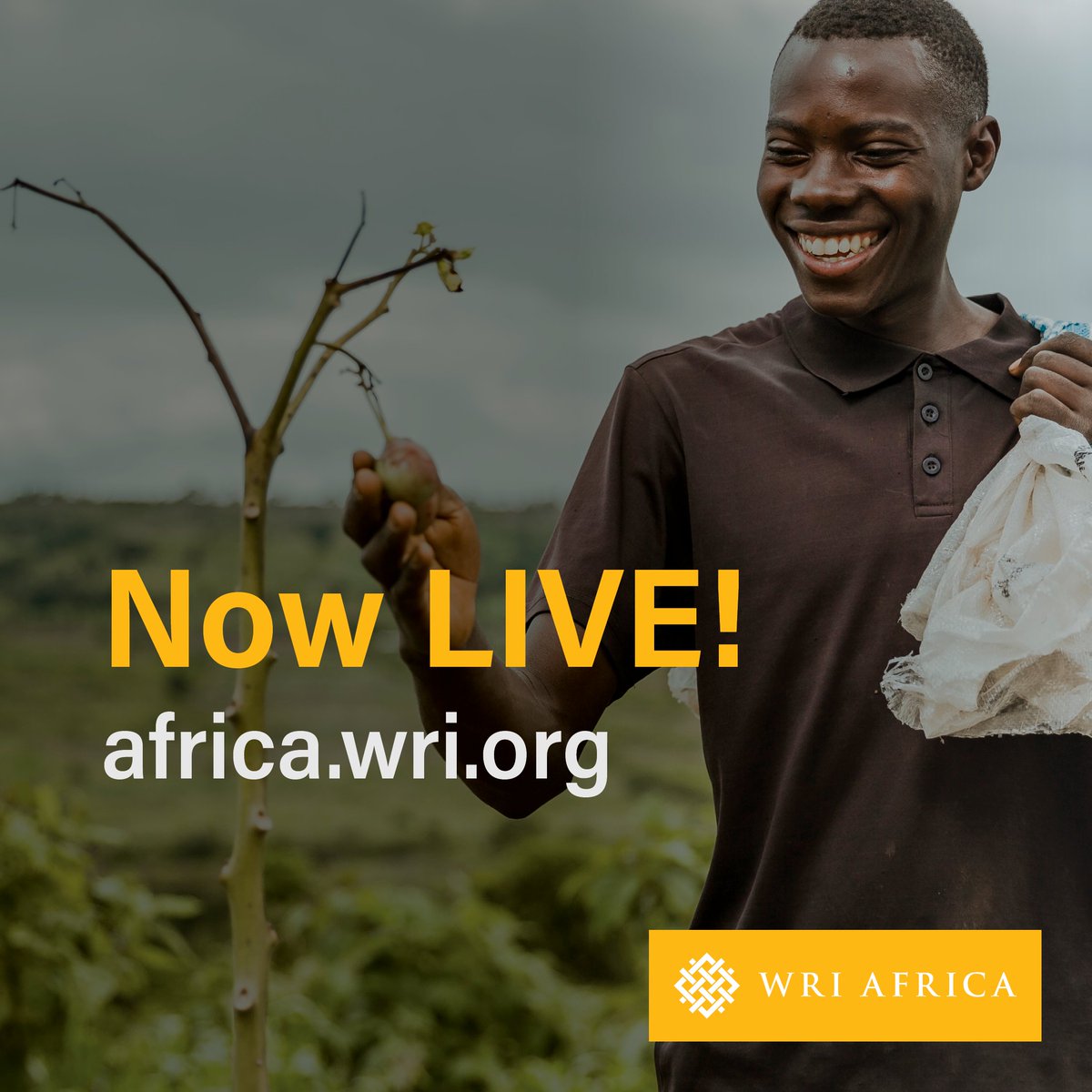 WRI Africa tweet media