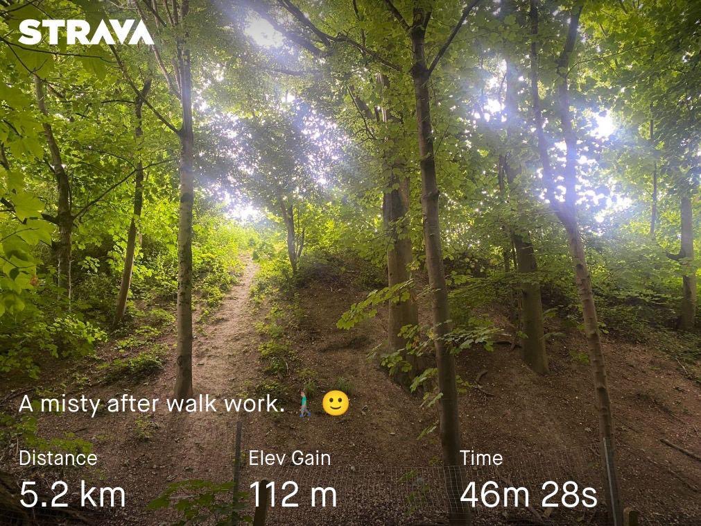 SamirMadi01's tweet photo. For my walks I will add some of the best photos from my running friends here on @X ππΌββοΈπββοΈ
π· @LuElizabeth20 π So peaceful.
#keepmoving #WednesdayWalk #walking #RunnersPhotos https://t.co/JSu3gNVinq