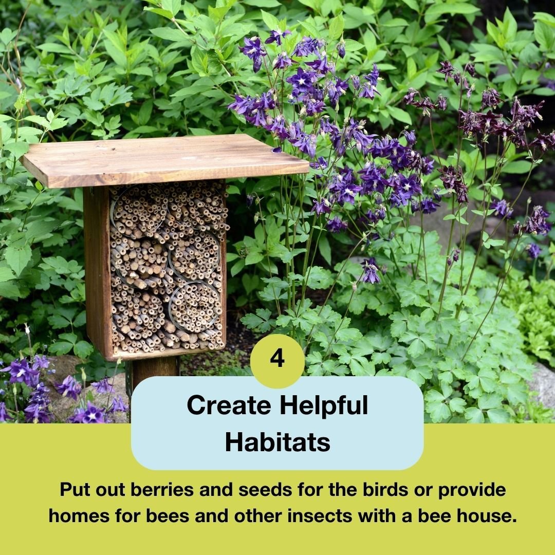 Let's Build Biodiversity 🌿

🌎Biodiversity encompasses all the various forms of life, including animals, plants, fungi, &amp; microorganisms like bacteria. Biodiversity is essential for our survival, providing food, clean water, &amp; medicine.

Discover 4 ways to build biodiversity! 👇