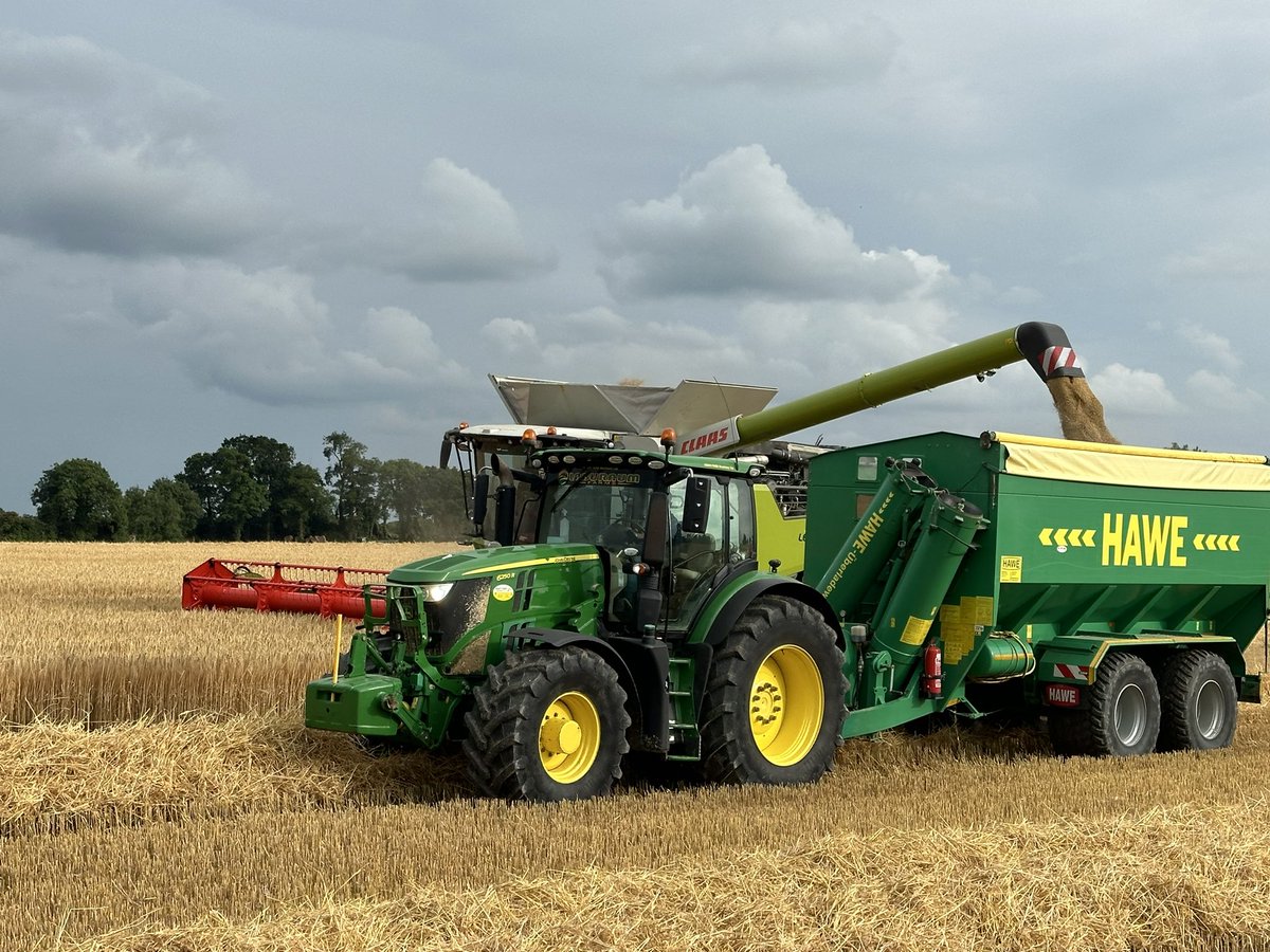 agrifarmmodels's tweet photo. Laburnum Farms in full swing for harvest ‘24. Their new Claas Lexion 8700 really is something else. 
#harvest24 #laburnum https://t.co/BJZfOPS47s