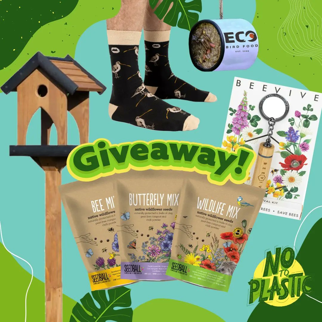 ✨🌿 COMPETITION TIME 🌿✨ 

Celebrating #plasticfreejuly , we’ve teamed up with some of our favourite eco-conscious brands to give one lucky person the chance to win a nature inspired Plastic Free Bundle worth over £230! 

Enter here - green-feathers.co.uk/pages/eco-comp…