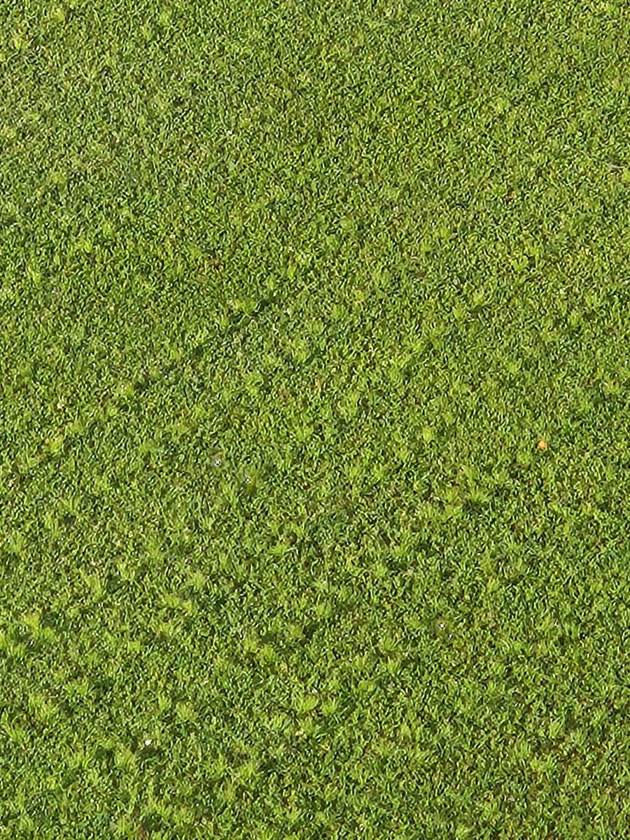 john bishop tweet media