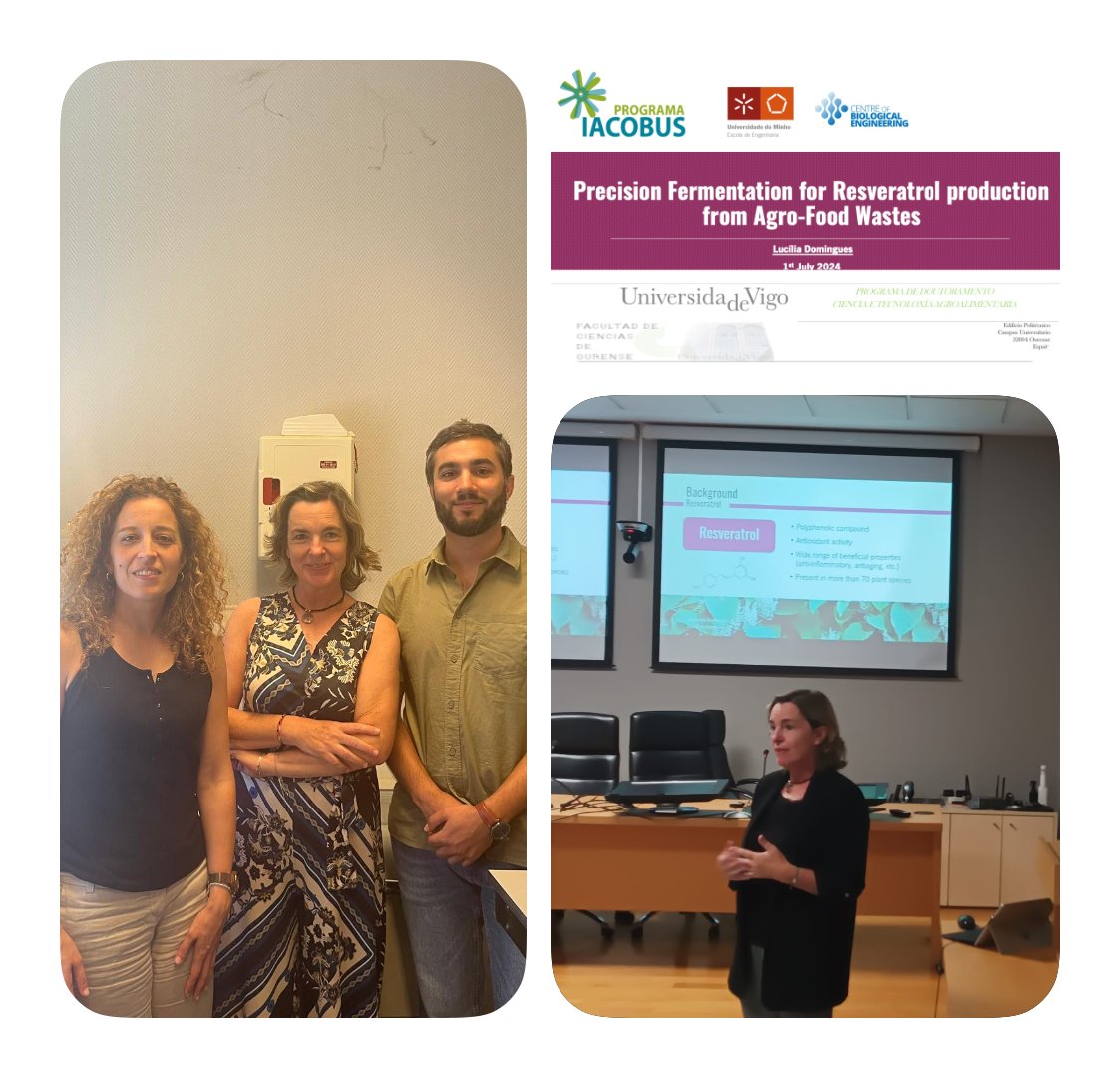 DominguesLab's tweet photo. Professor Lucília Domingues was at the University of Vigo/@uvigo, Campus Ourense, for the last 2 weeks, a stay funded by the IACOBUS program, where she also presented the seminar "Precision Fermentation for Resveratrol production from Agro-Food Wastes".
#ProgramaIACOBUS #biotech https://t.co/iZnrlaCY3Z