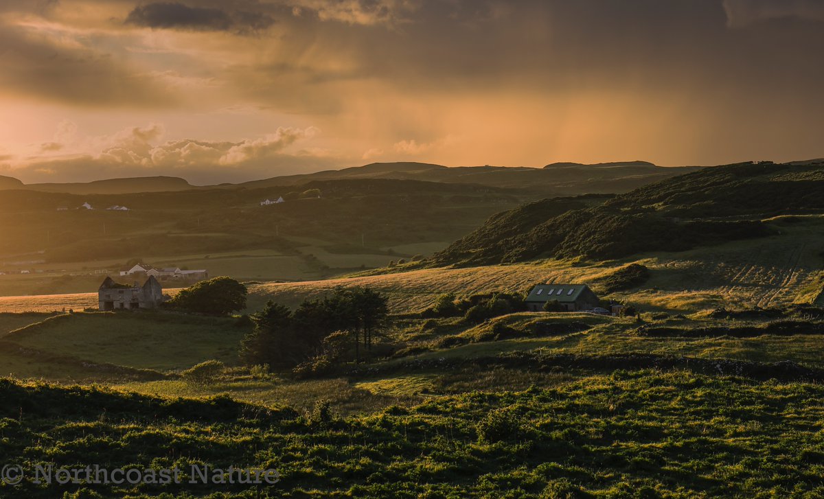 Northcoast Nature tweet media