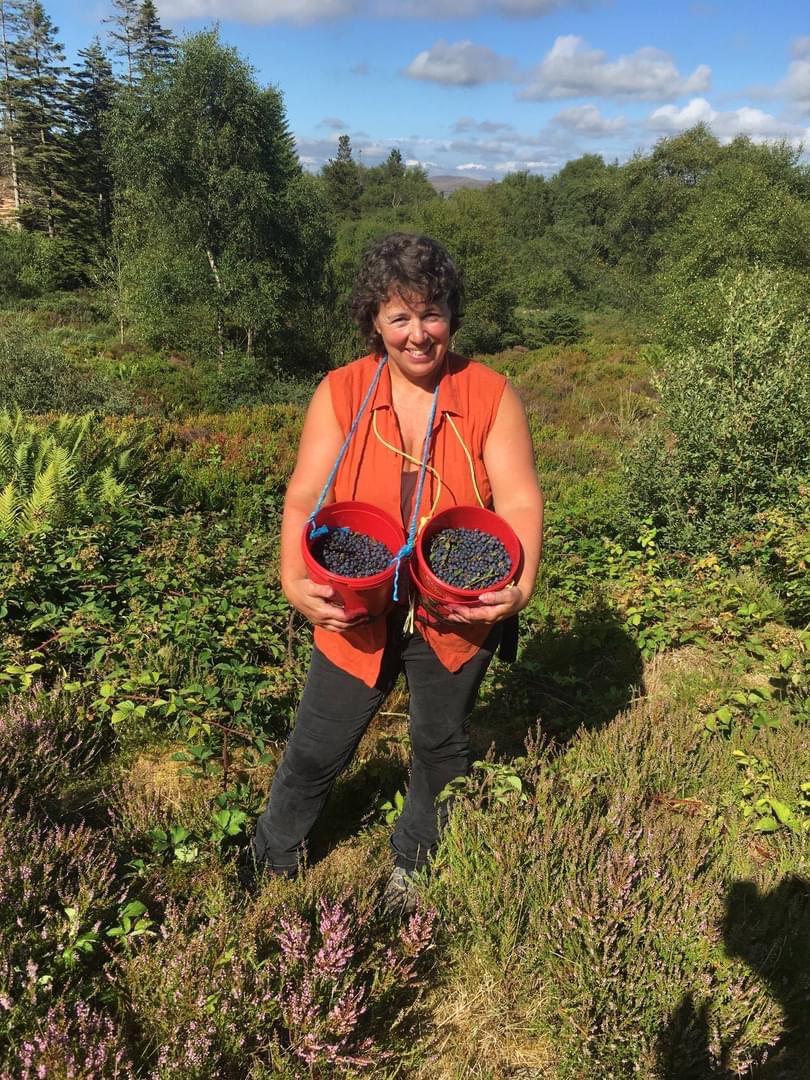 Taldraeth's tweet photo. @BBCRadioCymru @boimoel Mirain yn hel llus bob blwyddyn, traddodiad teuluol gan gynhyrchu jam #PantriTaldraeth - cafwyd crop da yn 2021 a 2018 fel gwelir yma….diwedd Gorffennaf https://t.co/cpdPss7D3z