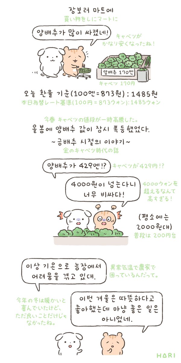 harihourr's tweet photo. 양배추는 못 샀지만🥬✨
キャベツは買えなかったけど https://t.co/vTsexnNKYt
