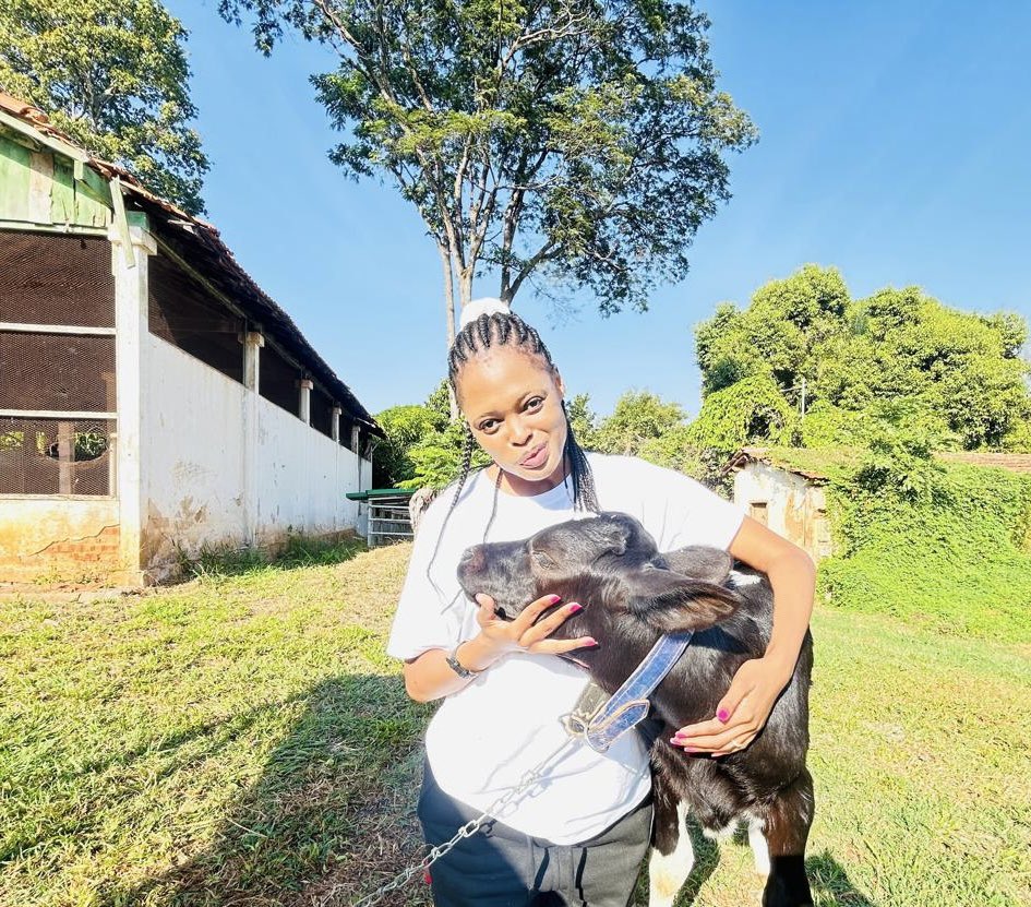 University of São Paulo Dairy farm in 🇧🇷 <a href="/FarmersWeeklySA/">Farmer's Weekly</a> Agricultural Summer School <a href="/NYDARSA/">NYDARSA</a>