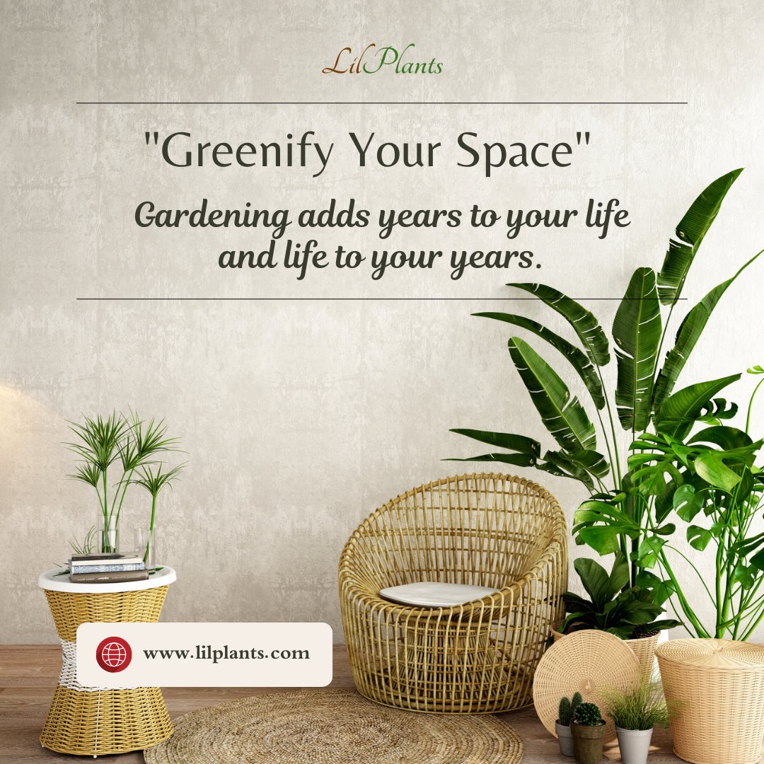lilplantsworld's tweet photo. Add Life to Your Home with LilPlants! 🌱
Discover our wide range of plants and transform your space today!

#GreenifyYourSpace #IndoorPlants #HomeDecor #GardeningLife #PlantLovers #LilPlants #TerroristAttack #TriptiiDimri #earthquake #Muharram #UPSCscam #Reservation #Bangladesh https://t.co/jMQGFl6wuE
