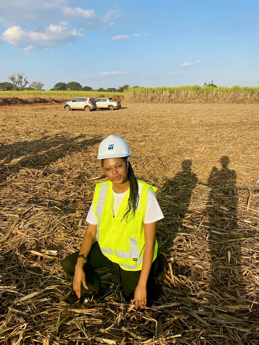 Sugarcane Farm technical visit 🇧🇷
