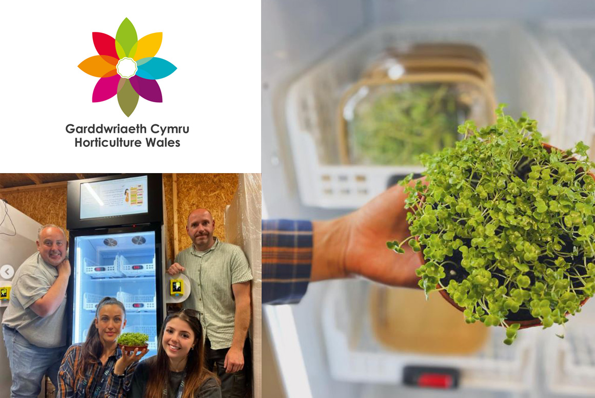Horticulture Wales Set to Launch Vending Fridges with Free Microgreens! 
welshfoodanddrink.wales/horticulture-w…
<a href="/avatar_fitness/">Avatar Fitness</a> @hortwales #hortwales #horticulture #horticulturelife #microgreens #microgreensalad