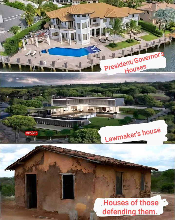 kizto celestinho tweet media