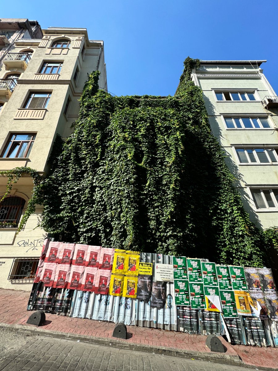 ysrdnl's tweet photo. Beyoğlu’nun “sertifikasız” yeşil binaları. Düşük teknoloji, yüksek estetik ve ekolojik değer. https://t.co/xQ1X3dL3fk
