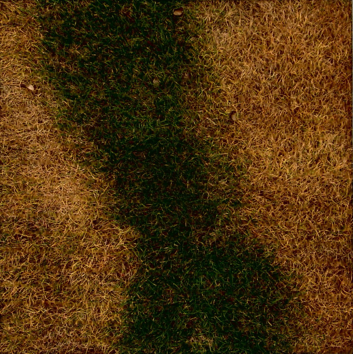 ENanoLtd's tweet photo. What you see vs. what our robots see:  

Discover how E-Nano uses NDVI technology to monitor turf health and detect early signs of stress, allowing you to act fast - because who doesn't love a perfectly green turf?!🌱📷

#ENano #Turfmanagement #Robotics #Greenkeeping https://t.co/khMSA8aKTl