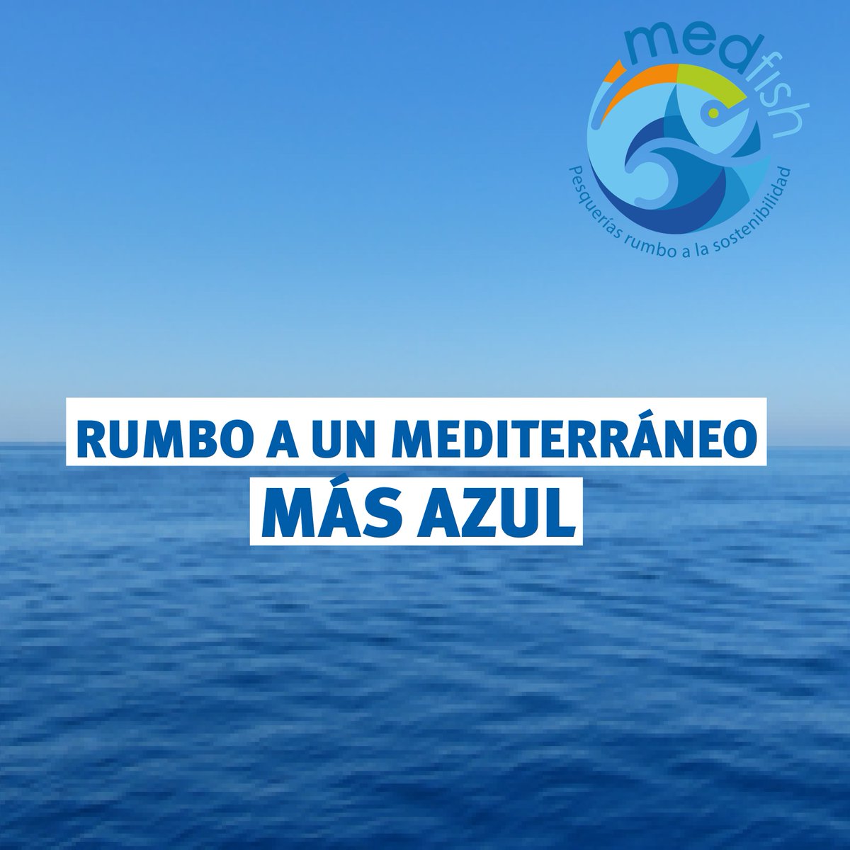 MSCenEspana's tweet image. #Medfish 🌊📊 Desde 2015, Medfish ha apoyado la mejora de la gestión pesquera en el Mediterráneo. Gracias a la Fundación MAVA y al Ocean Stewardship Fund de #MSC, se han financiado 4 proyectos en España.
➡️ bit.ly/3w1E8Kg
#Med4Ever #OSF #MAVA #ProyectoMedfish