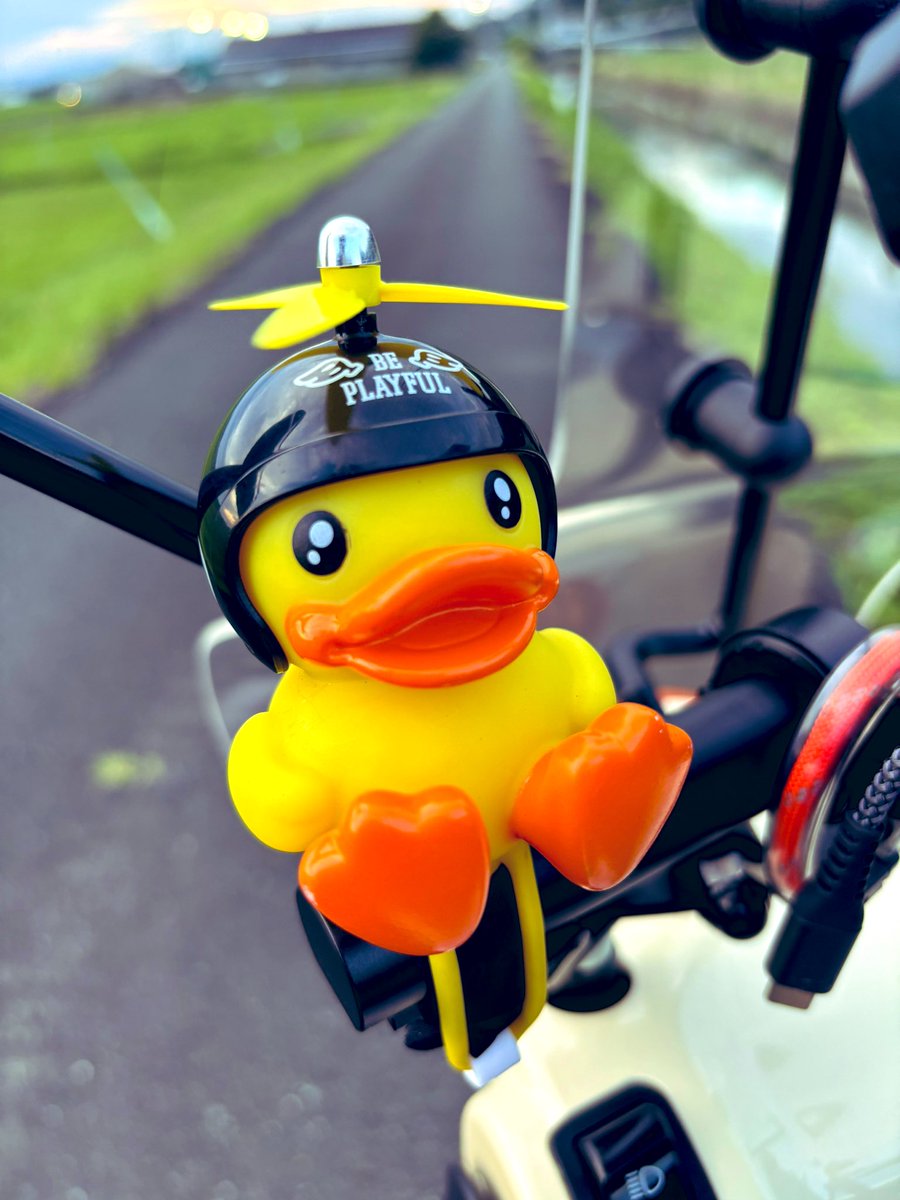 ponta1772's tweet photo. アヒルちゃん大集合(笑)

後ろのアヒルちゃんはダイソーで
買ったよ♪

#スーパーカブ
#スーパーカブ110
#HONDA https://t.co/7tUVPMV6SW