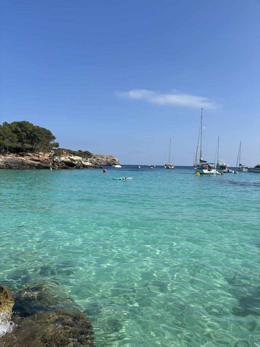 AlsinaPol's tweet photo. Menorca, cada any m'enamores més https://t.co/S2SxXC9bWS