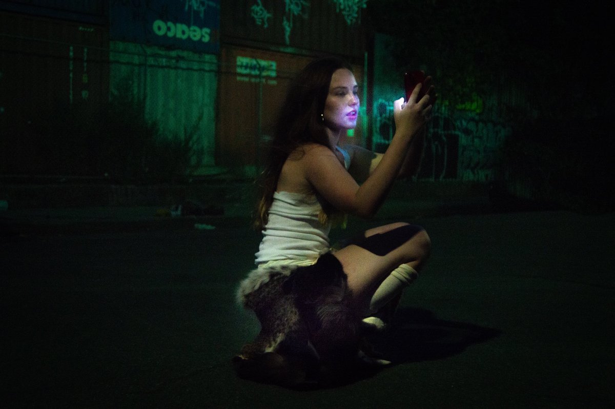 prayerknife's tweet photo. Pictures I took of lily yesterday https://t.co/9QRLHgv7Av
