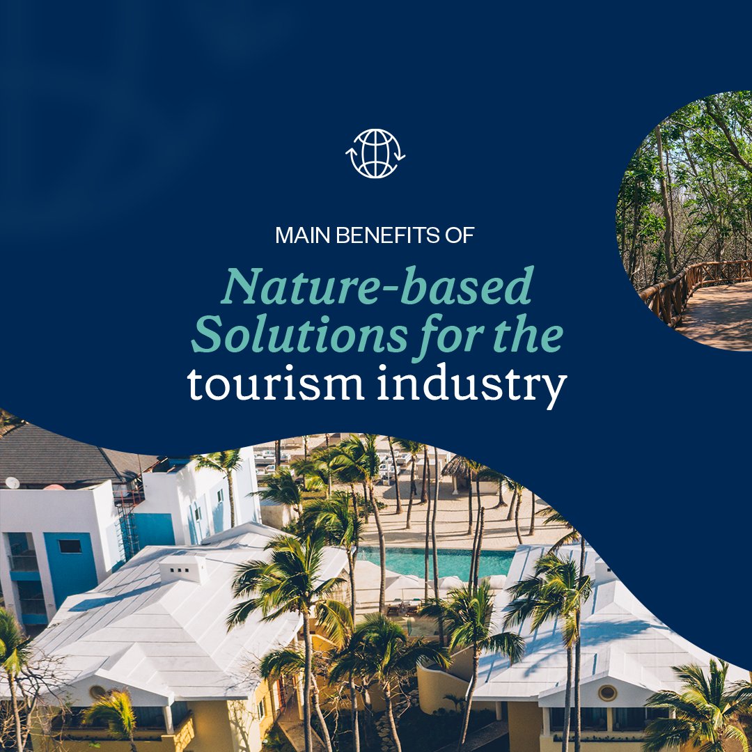 waveofchange's tweet photo. We are committed to driving transformative action using nature's principles to tackle urgent challenges, enhance resilience, and support biodiversity. By promoting Nature-based Solutions, we ensure that coastal and marine ecosystems continue to thrive.