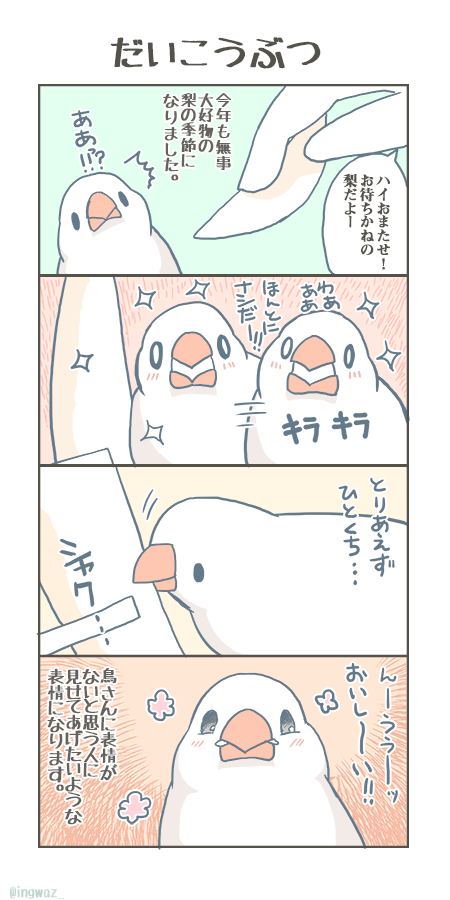 そろそろ梨が出回る時期です(再掲)   #漫画が読めるハッシュタグ #Buncho #文鳥
