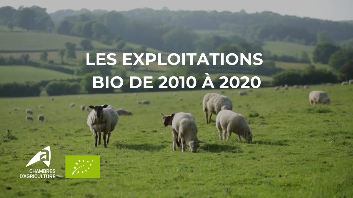 ChambagriFrance's tweet image. [ #Bio 🌿] ​​​La pyramide des âges des exploitants agricoles en agriculture biologique entre 2010-2020 expliquée par Maylis Herran de #ChambresAgriFrance :  youtu.be/GifCfHUCsF8?si…

👉​+ d'infos et accéder aux travaux #INOSYS : urlr.me/m7kX6
