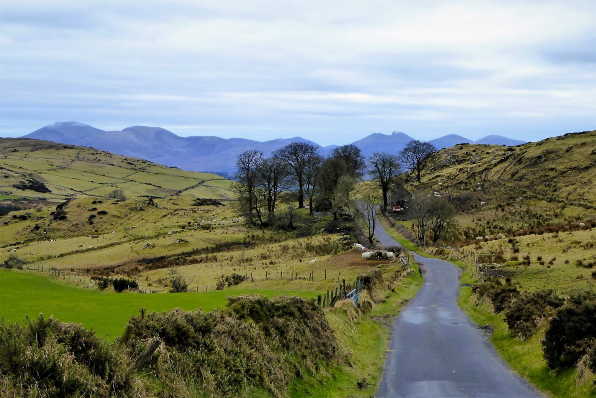 Trek NI (@wearetrekni) on Twitter photo πππ | Slievenisky and Slieve Croob Loop
"The walk covers some of the most scenic roads in County Down and crosses the rarely visited Slievenisky before arriving at Slieve Croob, the highest of the Dromara Hills peaks."
βπΌ <a href="/barracuda147/">Derek Flack</a>
Read now: tinyurl.com/3p9paxhr πππ | Slievenisky and Slieve Croob Loop
"The walk covers some of the most scenic roads in County Down and crosses the rarely visited Slievenisky before arriving at Slieve Croob, the highest of the Dromara Hills peaks."
βπΌ <a href="/barracuda147/">Derek Flack</a>
Read now: tinyurl.com/3p9paxhr