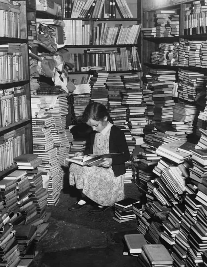 JanHoving4's tweet photo. Monika reading a book in Foyle's bookshop, London, 1949. https://t.co/znIeziWO2x