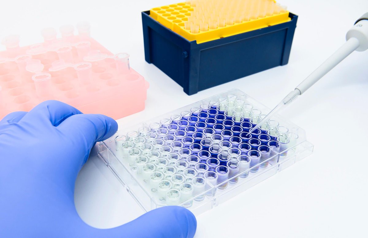 biolytix's tweet photo. 🚀 Exciting Collaboration! 🚀

We're thrilled to announce our partnership with NEMIS Technologies. Combining Biolytix AG's ISO 17025 accredited analyses with NEMIS's rapid tests, we're enhancing food safety standards worldwide!
#FoodSafety #Microbiology #Innovation #Collaboration https://t.co/vWA7YAGWih