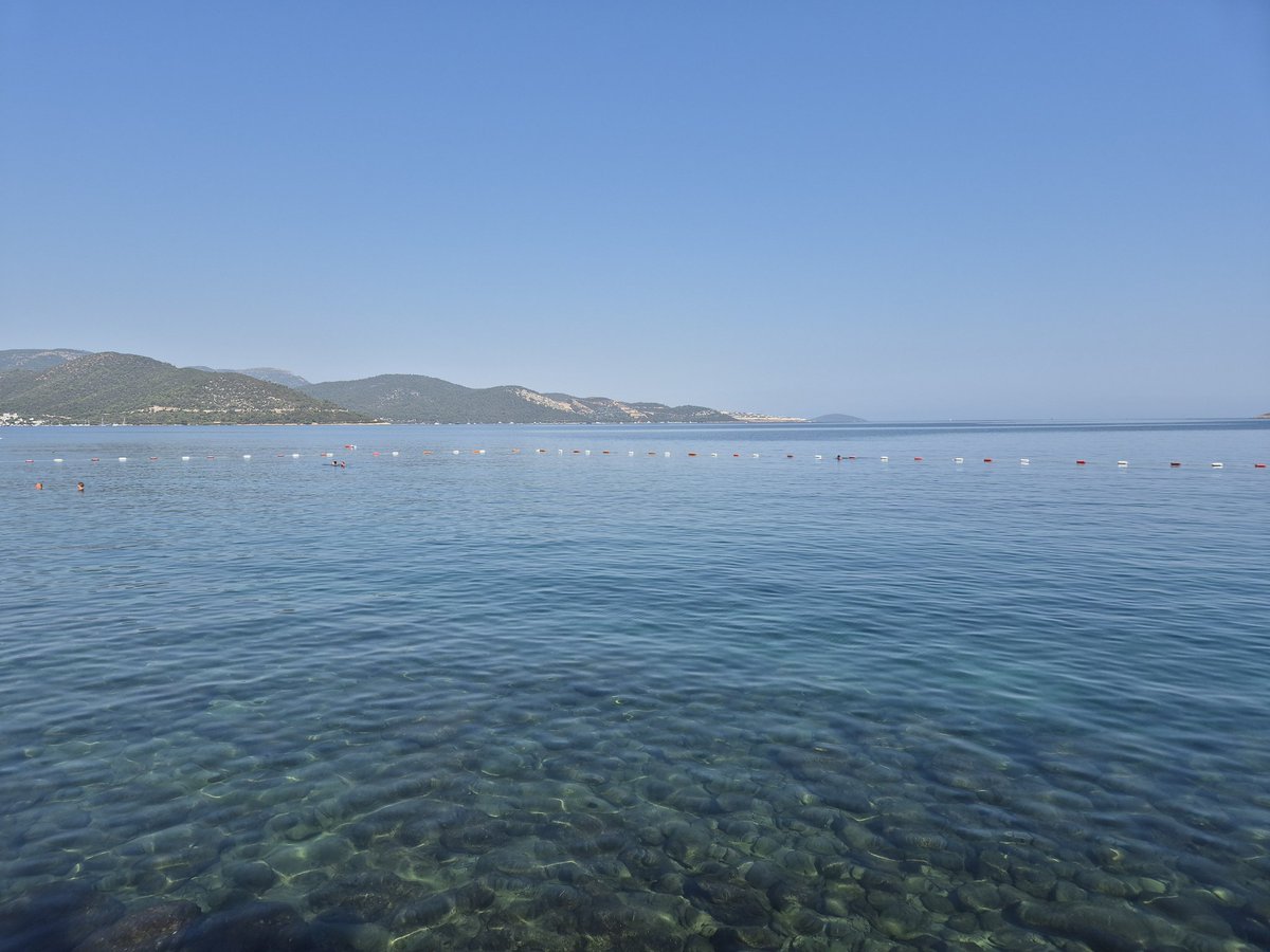 Sakin bir Bodrum denizinden, herkese günaydın...taze PhD dinlenmesi..