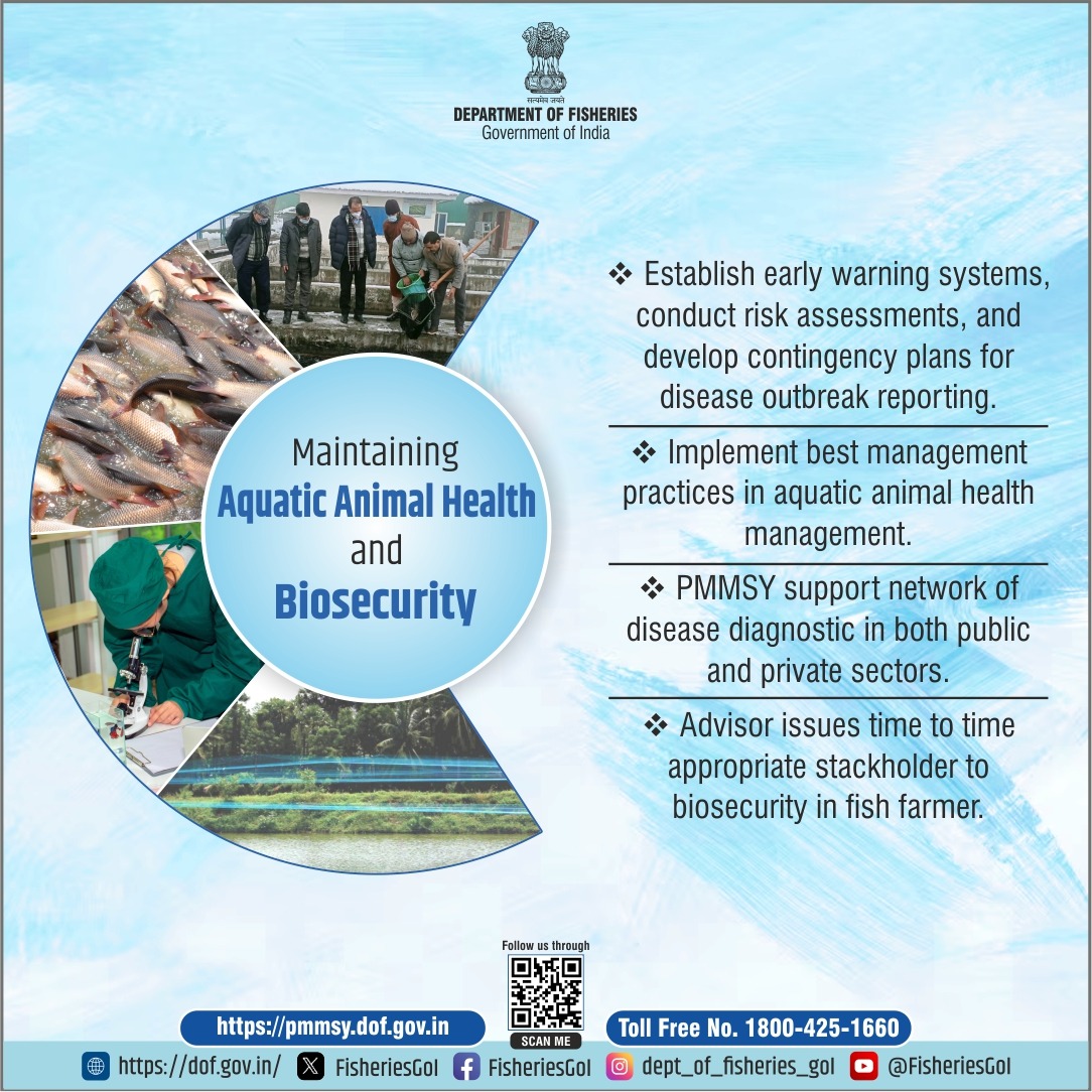 FisheriesGoI's tweet image. Safeguarding aquatic species and biodiversity: essential practices for sustainable aquatic ecosystems 
#AquaticConservation #BiodiversityProtection #SustainableFisheries #MarineEcosystems #OceanConservation #SaveOurSeas #ProtectMarineLife #AquaticBiodiversity #EcoFriendlyFishing