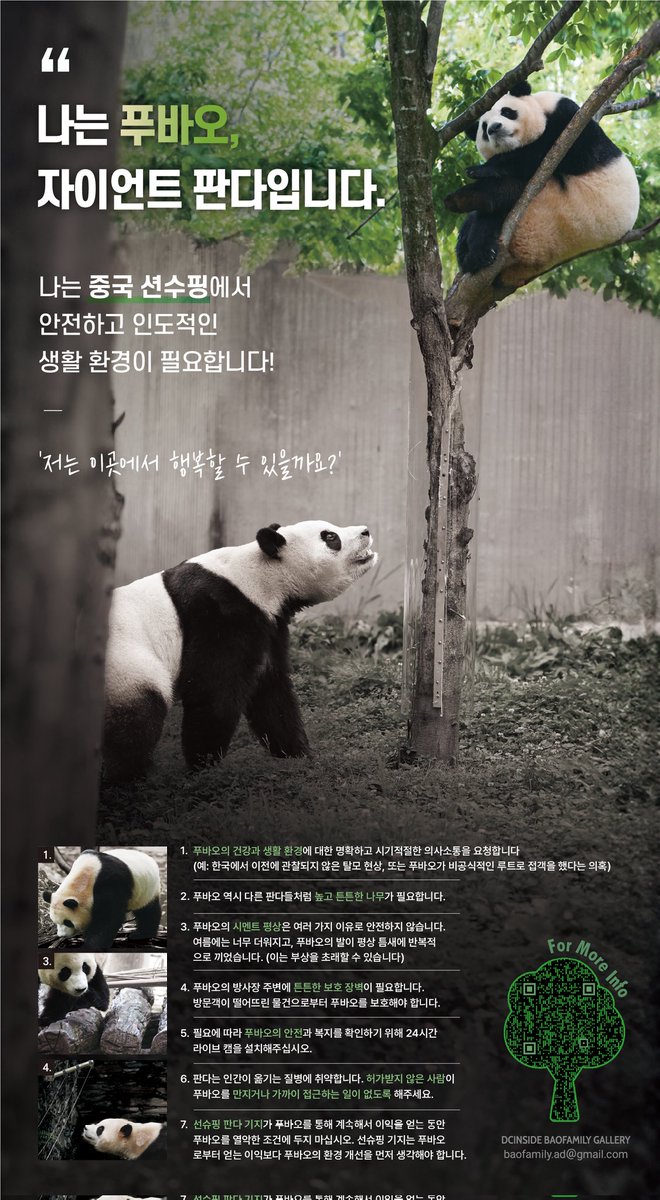 marcella_bao's tweet photo. 푸바오 뉴욕타임즈 광고 
많은 관심 부탁드려요
(오른쪽 밑 나무 모양 큐알이에요. 한번씩 봐 주세요.) https://t.co/o5jlIzrYyo
