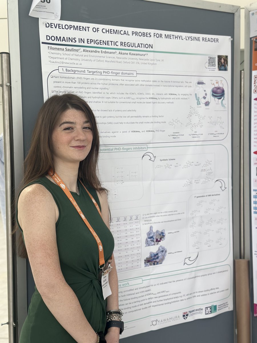 Kawamura Group tweet media