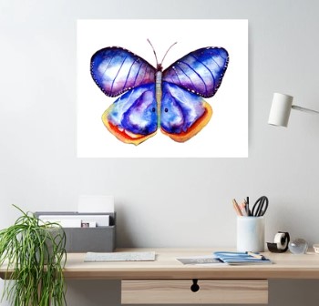 Manitarka's tweet photo. #watercolor #insectsart #butterfly #burreflyart #nature #wildlife #baby #onesie #mugs #Poster #prinst #pillow #Redbubble #Manitarka
https://t.co/nXrt51k7fV https://t.co/aFykLtEmoH