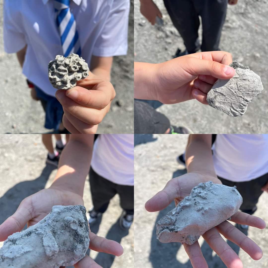 inclusionbot's tweet photo. Elms class are fossil hunting at @SamphireHoe1997 @AquilaTrustUK https://t.co/gKaSrR0RlT