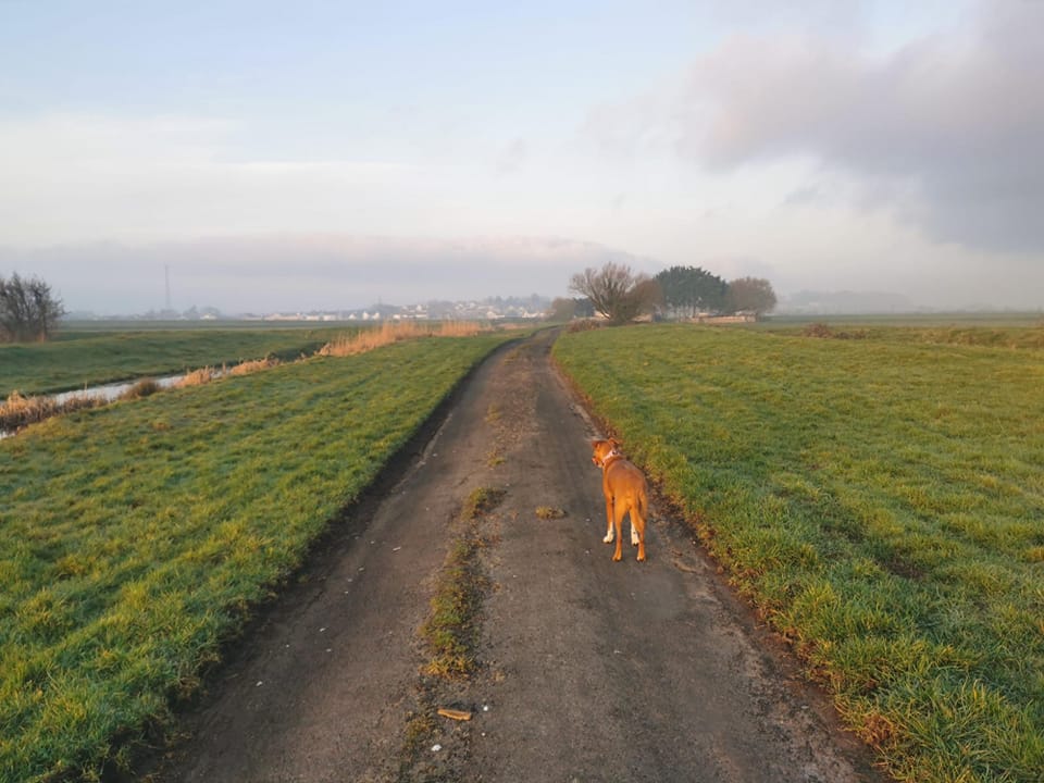 Confusion and uncertainty over EDF’s saltmarsh plan at Environment Agency “stakeholder” event

clairesully.com/confusion-and-…

#HinkleyPointC #pawletthams #environment @EnvironmentAgency