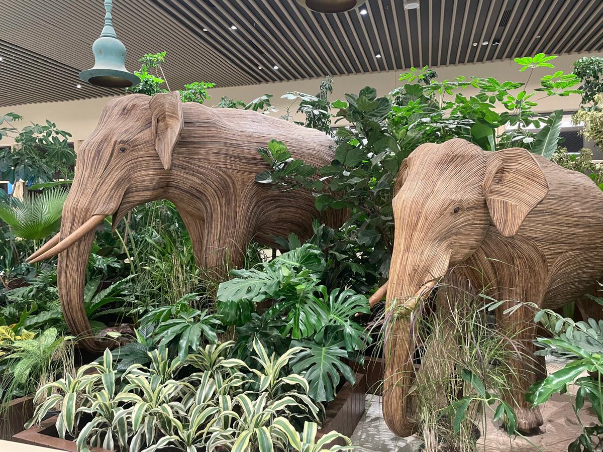 🌿 "Terminal in a Garden": Bengaluru's stunning Terminal 2, recognized by UNESCO as one of the world's most beautiful airports, features state-of-the-art, low-carbon infrastructure. 📸 HC MacKay toured this eco-marvel. 

#DYK It's built with capital from 🇨🇦 investor Fairfax.