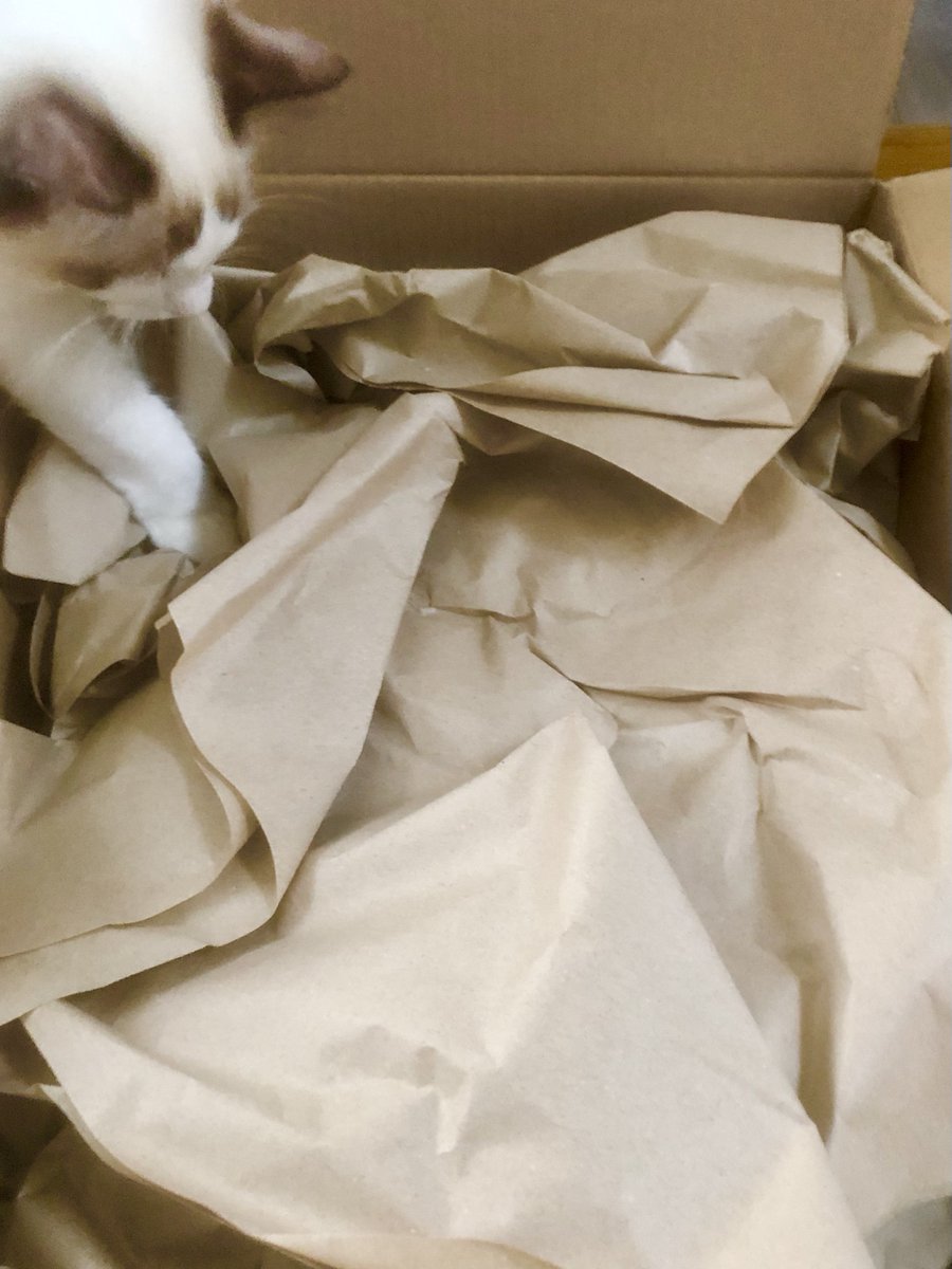 syashin_nikki's tweet photo. Amazonの箱に入ってるあの紙で作った猫ちぐら、やっっっ……と完成した🥹
手に何個もタコできるし超大変で何度も心折れかけたけど、完成した途端に猫たちが我先にと交互に入ってくれてまじで泣きそうになった
作ってよかった https://t.co/cvQptuXlbd