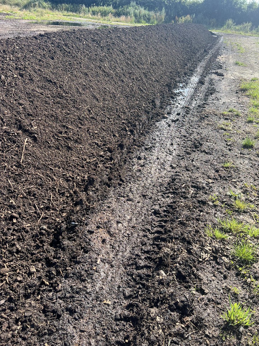 Nick Padwick tweet media