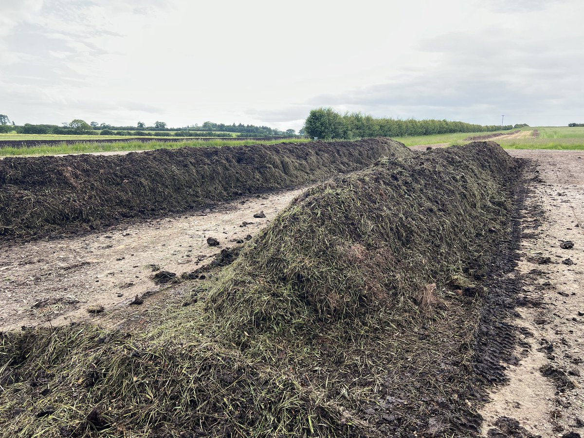 Nick Padwick tweet media