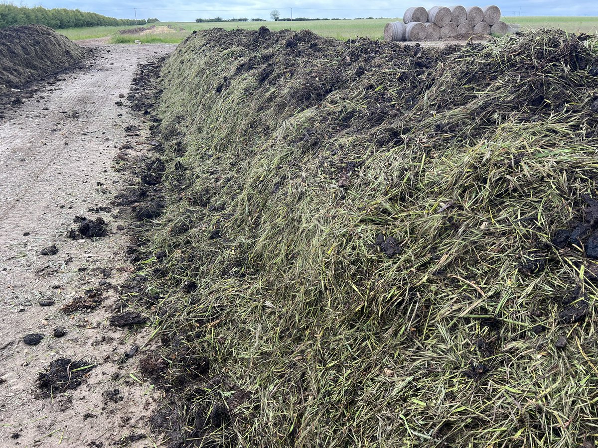 Nick Padwick tweet media